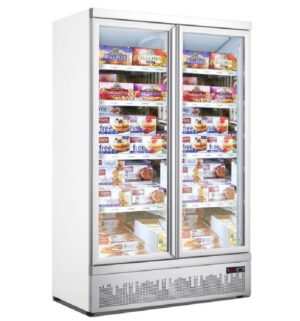 TWO Door Freezer (PG 960-F)