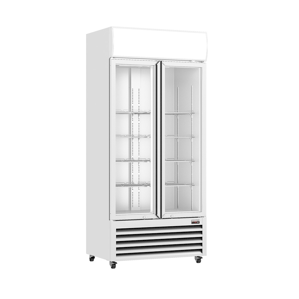Thermaster Double Glass Door Colourbond Upright Drink Fridge - LG-580P - Image 2
